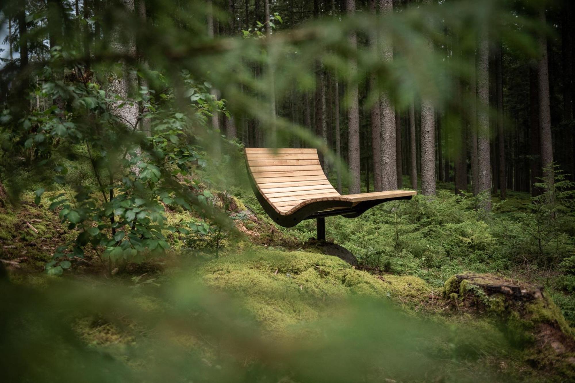 Forstgut - Premium Waldchalets Und Lodge Suiten Regen Exterior foto